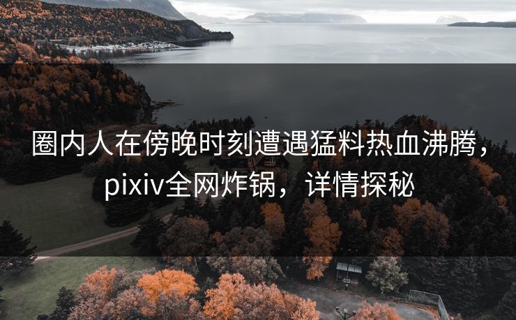 圈内人在傍晚时刻遭遇猛料热血沸腾，pixiv全网炸锅，详情探秘