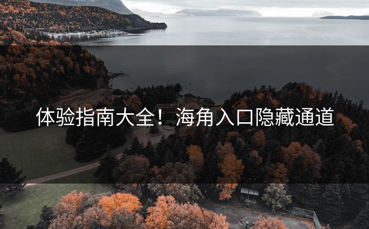 体验指南大全！海角入口隐藏通道