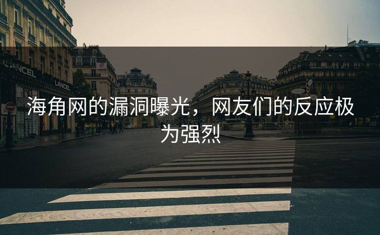海角网的漏洞曝光，网友们的反应极为强烈