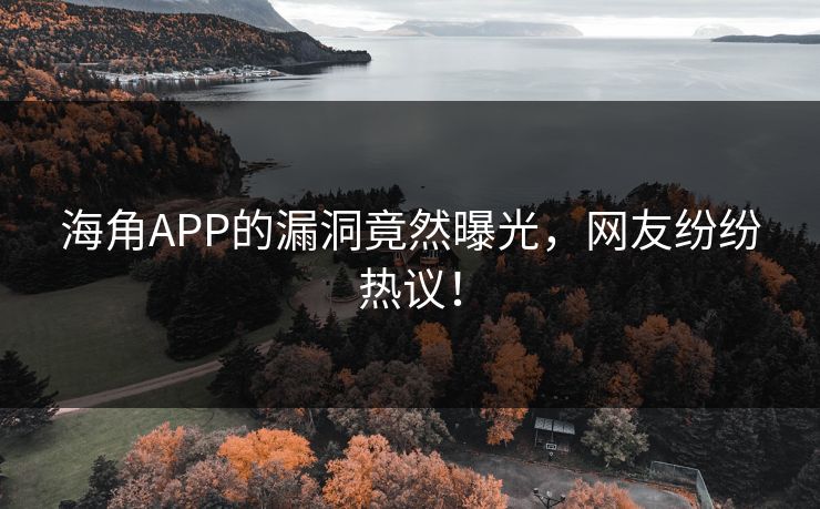海角APP的漏洞竟然曝光,网友纷纷热议!