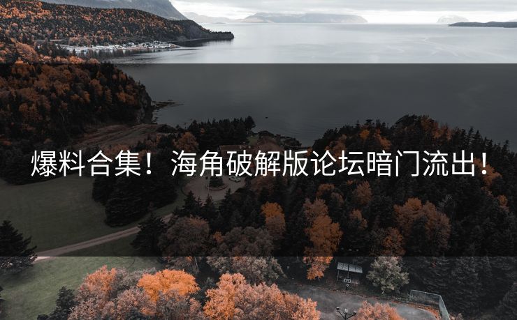 爆料合集！海角破解版论坛暗门流出！