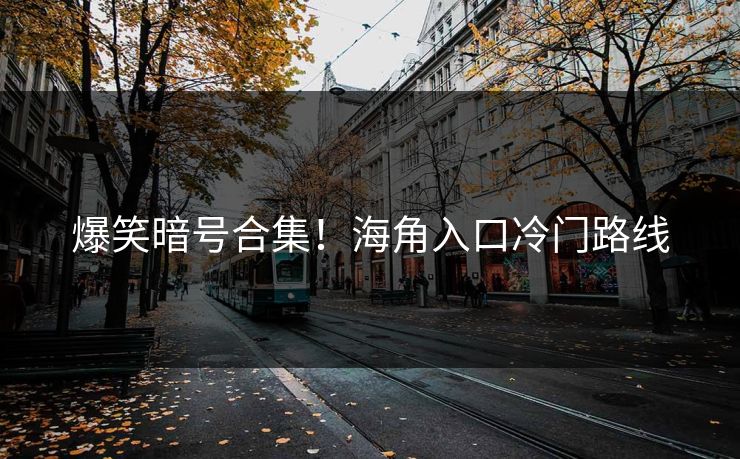 爆笑暗号合集！海角入口冷门路线