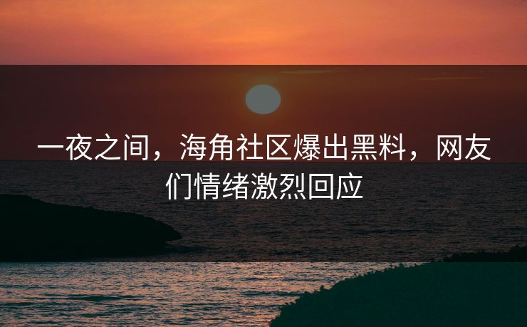 一夜之间，海角社区爆出黑料，网友们情绪激烈回应