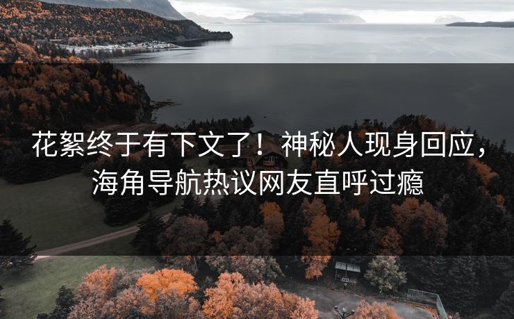 花絮终于有下文了！神秘人现身回应，海角导航热议网友直呼过瘾
