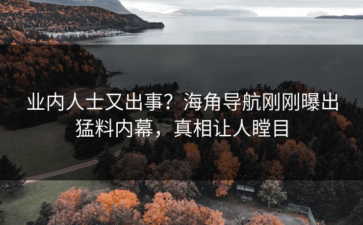 业内人士又出事？海角导航刚刚曝出猛料内幕，真相让人瞠目
