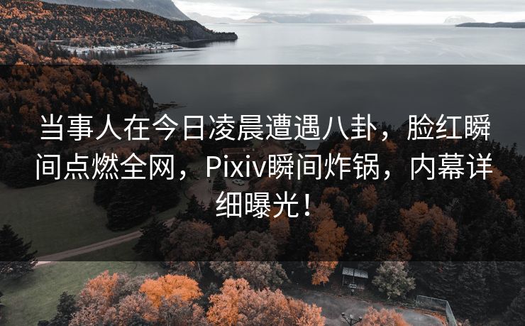 当事人在今日凌晨遭遇八卦，脸红瞬间点燃全网，Pixiv瞬间炸锅，内幕详细曝光！
